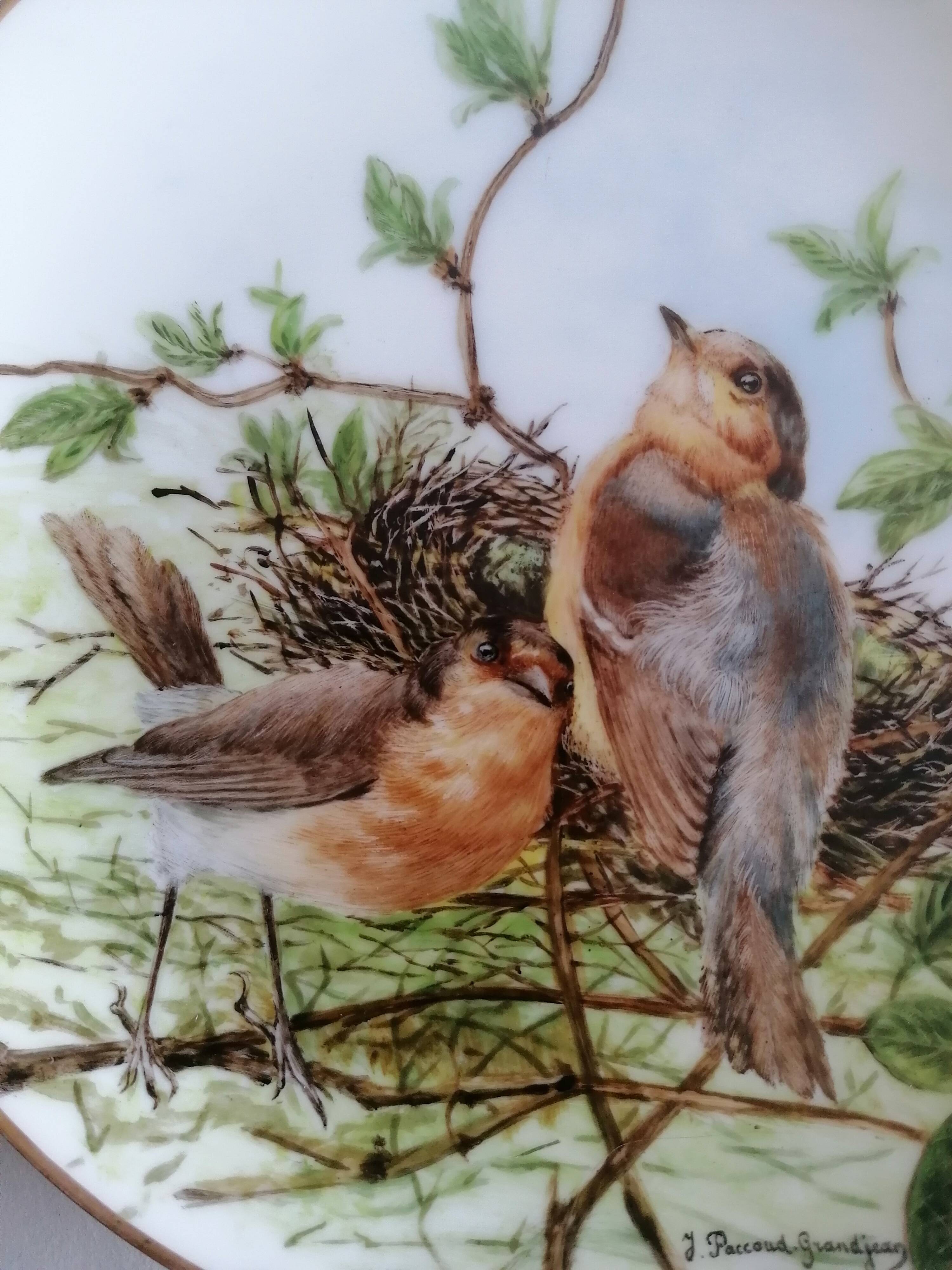 Haviland porcelain plate bird collection