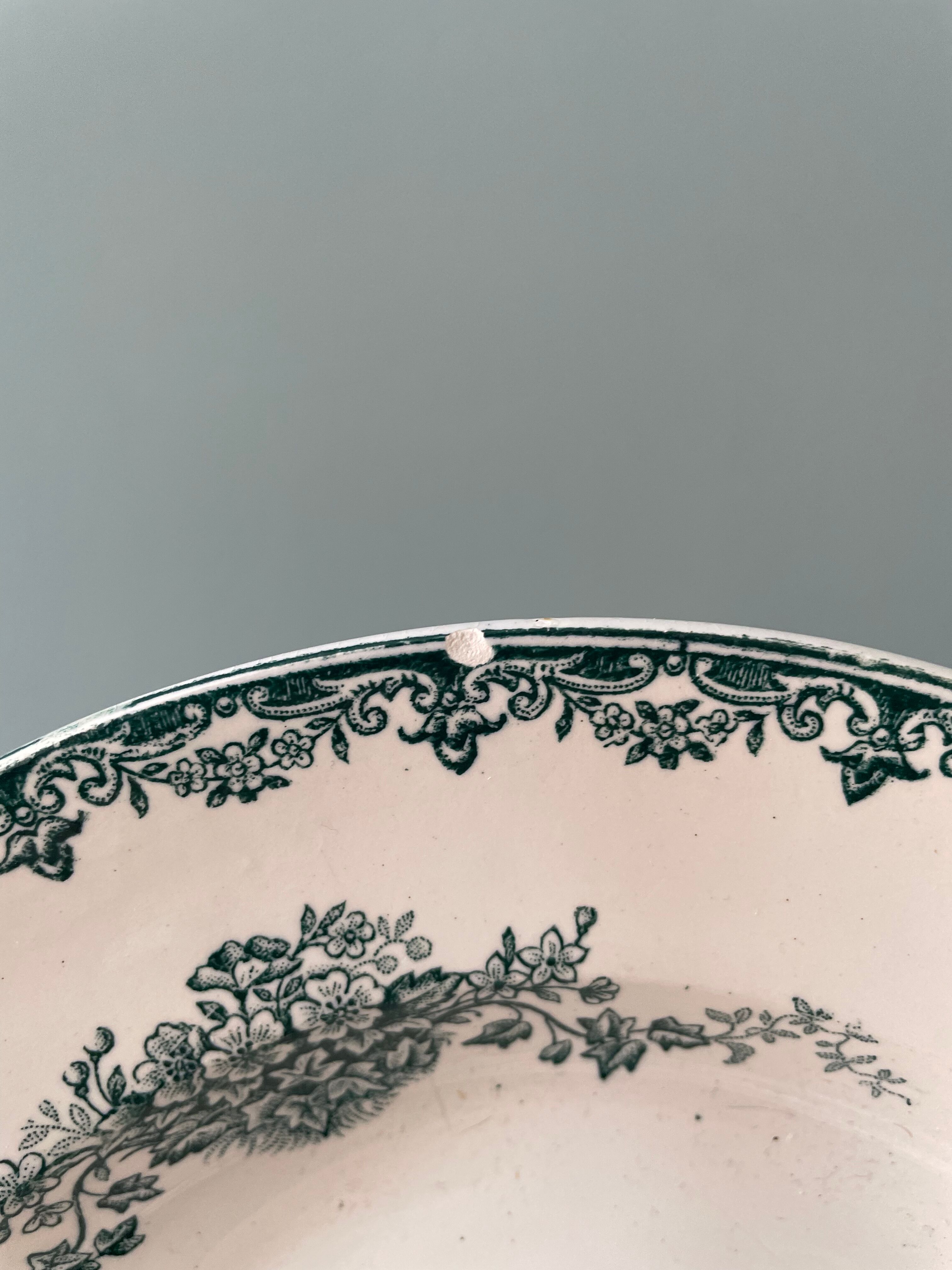 Set of 7 mismatched hollow plates Terre de Fer XIXth