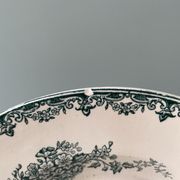 Set of 7 mismatched hollow plates Terre de Fer XIXth
