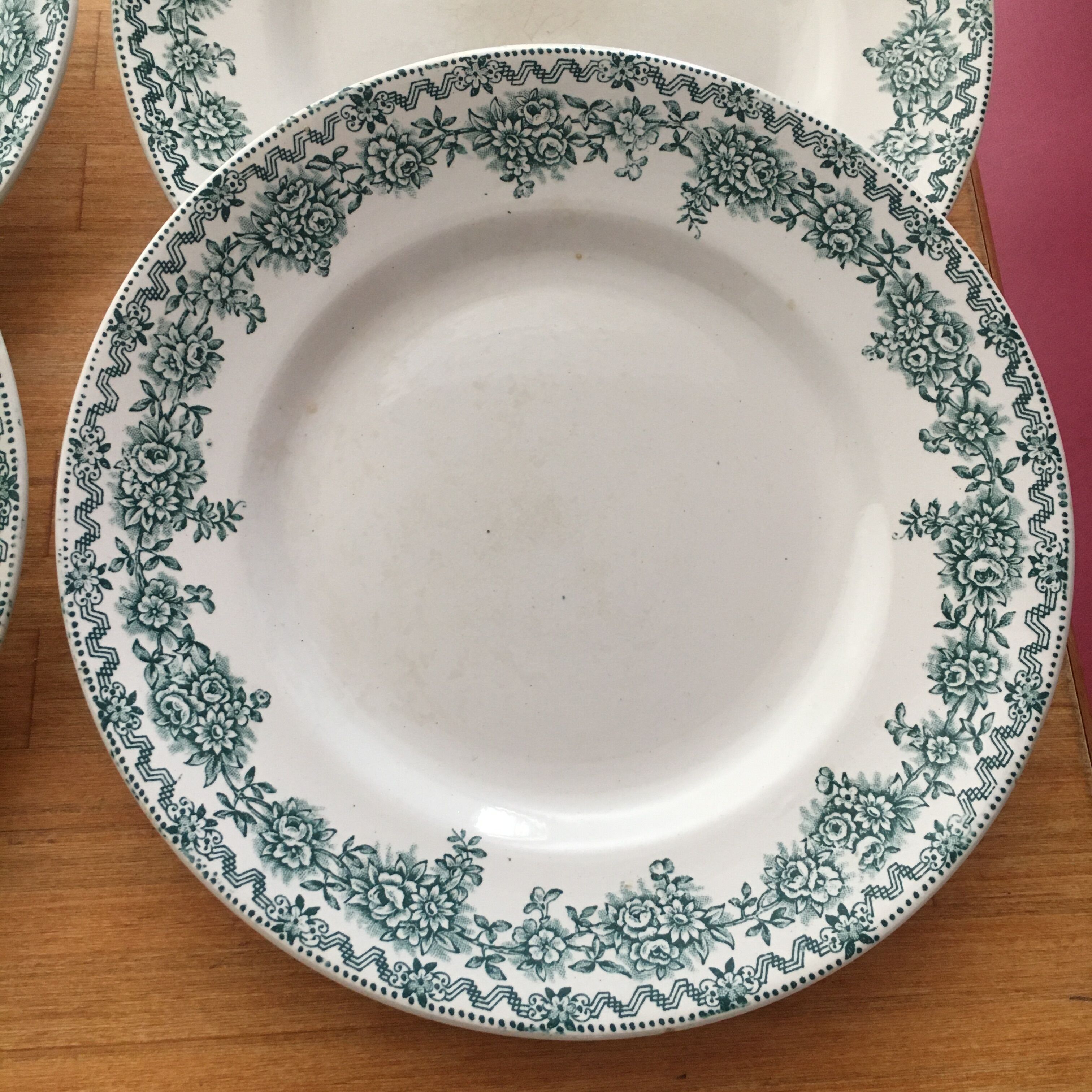 Porcelain plates Terre de Fer Saint Amand model Argenton