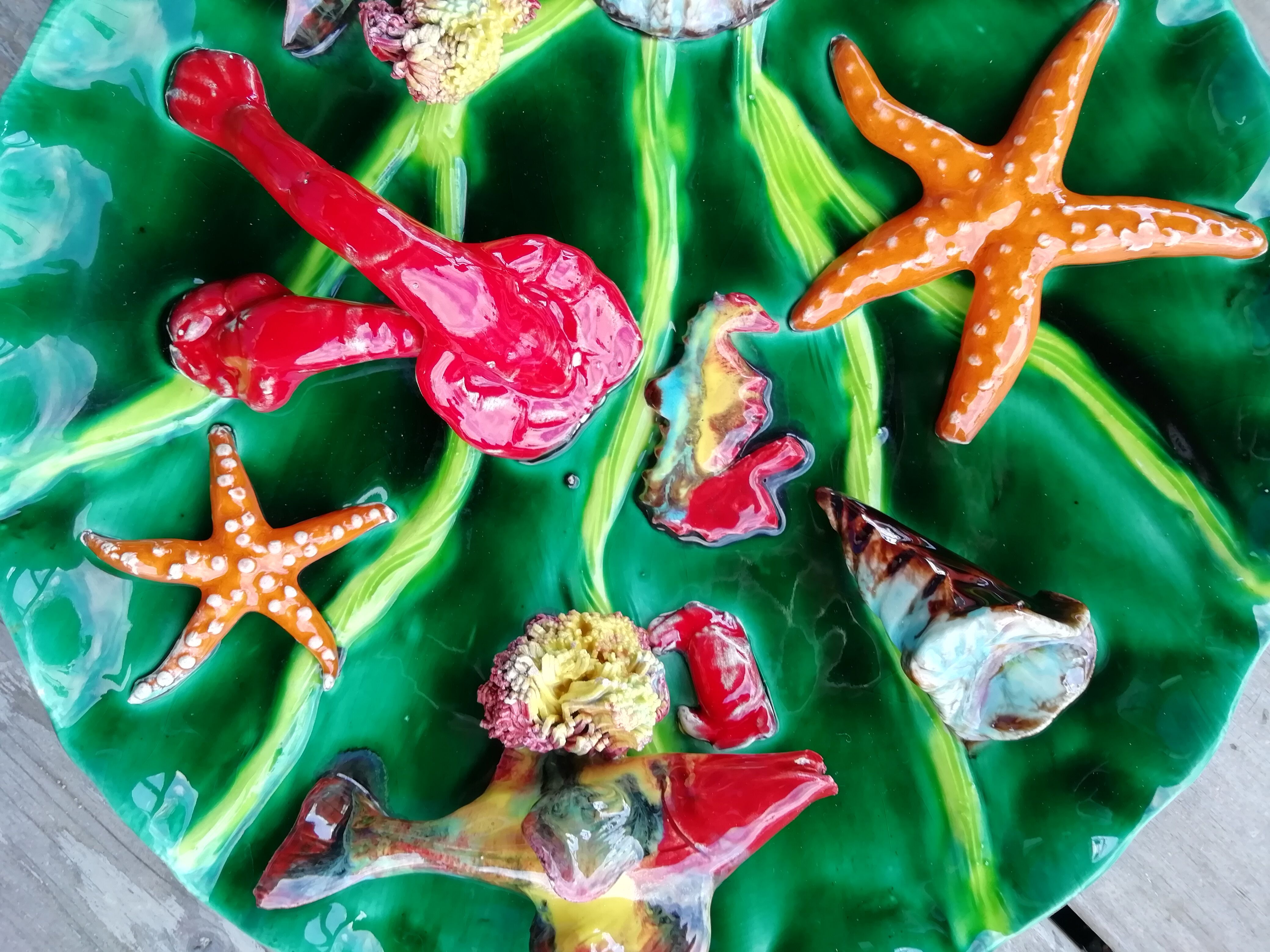 Wall plate marine animals