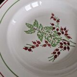 Antique service – KG Lunéville – 12 plates with red & green floral decoration