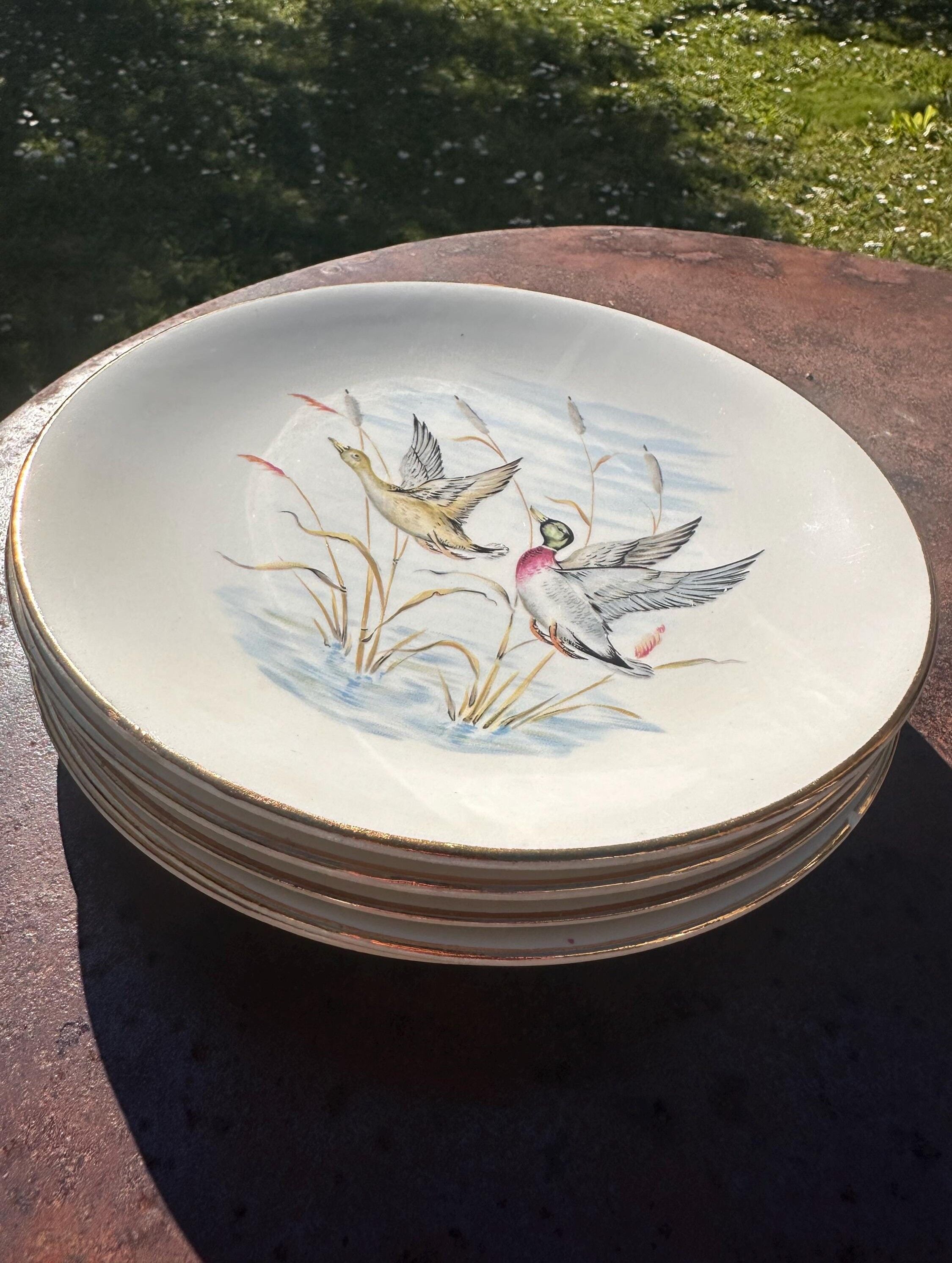 Set of 5 flat plates in Gien earthenware, Primefleur collection.