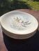 Set of 5 flat plates in Gien earthenware, Primefleur collection.