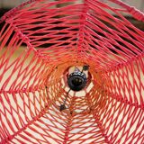 Vintage tulip hanging lamp in rattan
