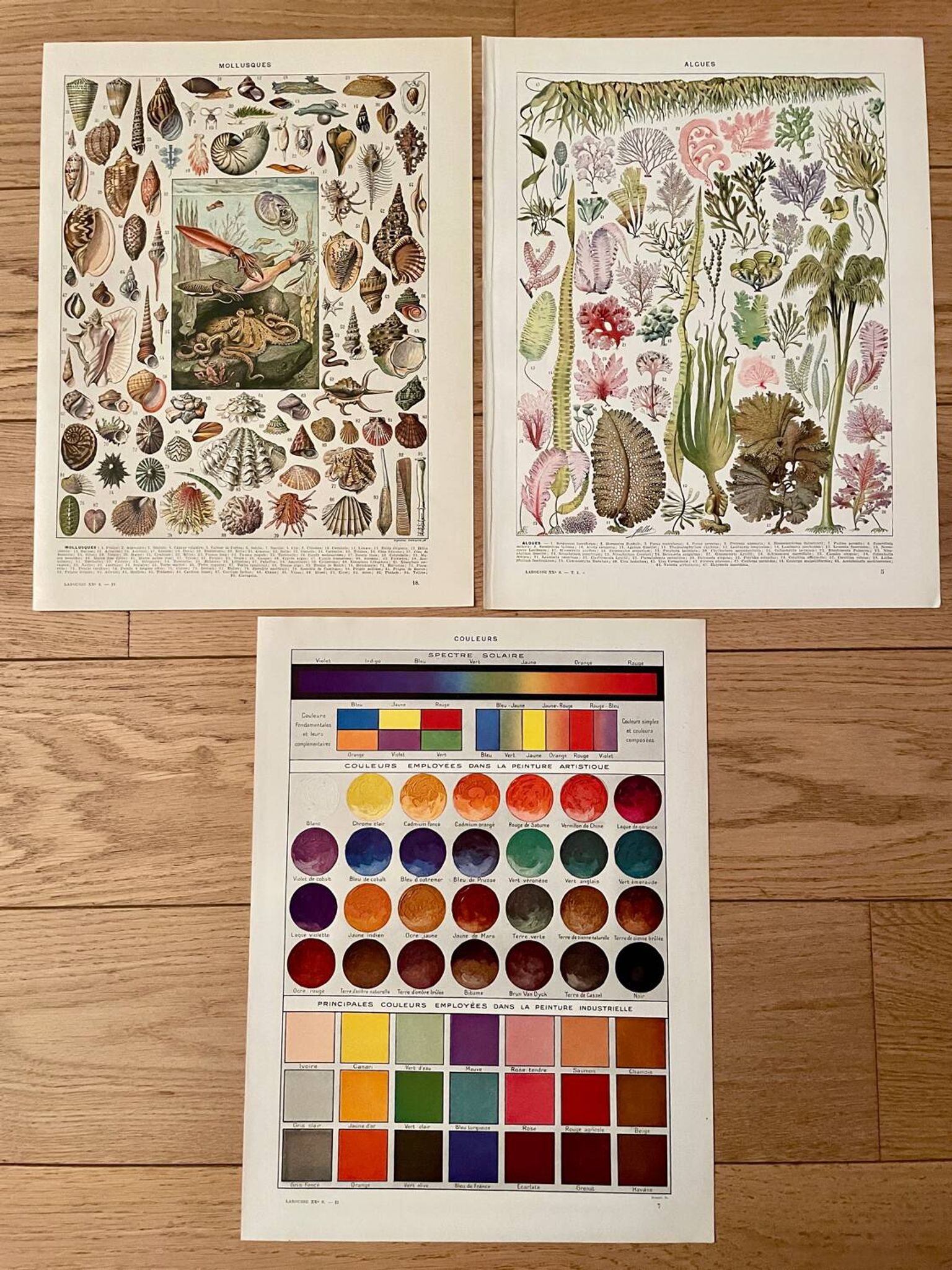 Reserved Marie-Axelle: Lot of 3 illustrated boards from the 20th century.