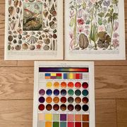Reserved Marie-Axelle: Lot of 3 illustrated boards from the 20th century.