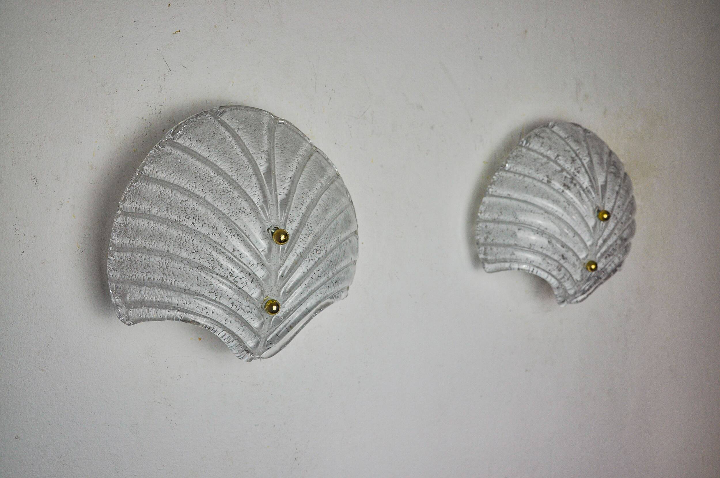 Pair of XL shell wall lights, frosted Murano glass, Italy, 1980