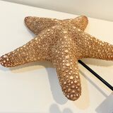 XXL Vintage Natural Starfish on Marble Base Cabinet of Curiosities