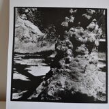 Anonymous silver photo tree circa 1970