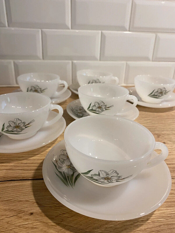 6 tasses et sous tasses Arcopal