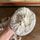 Maze coral or brain coral