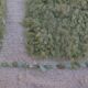 Tapis marocain vert amande et bleu vert à reliefs moderne