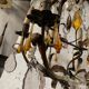 Louis XV style cage chandelier with pendants and drop of water XX century