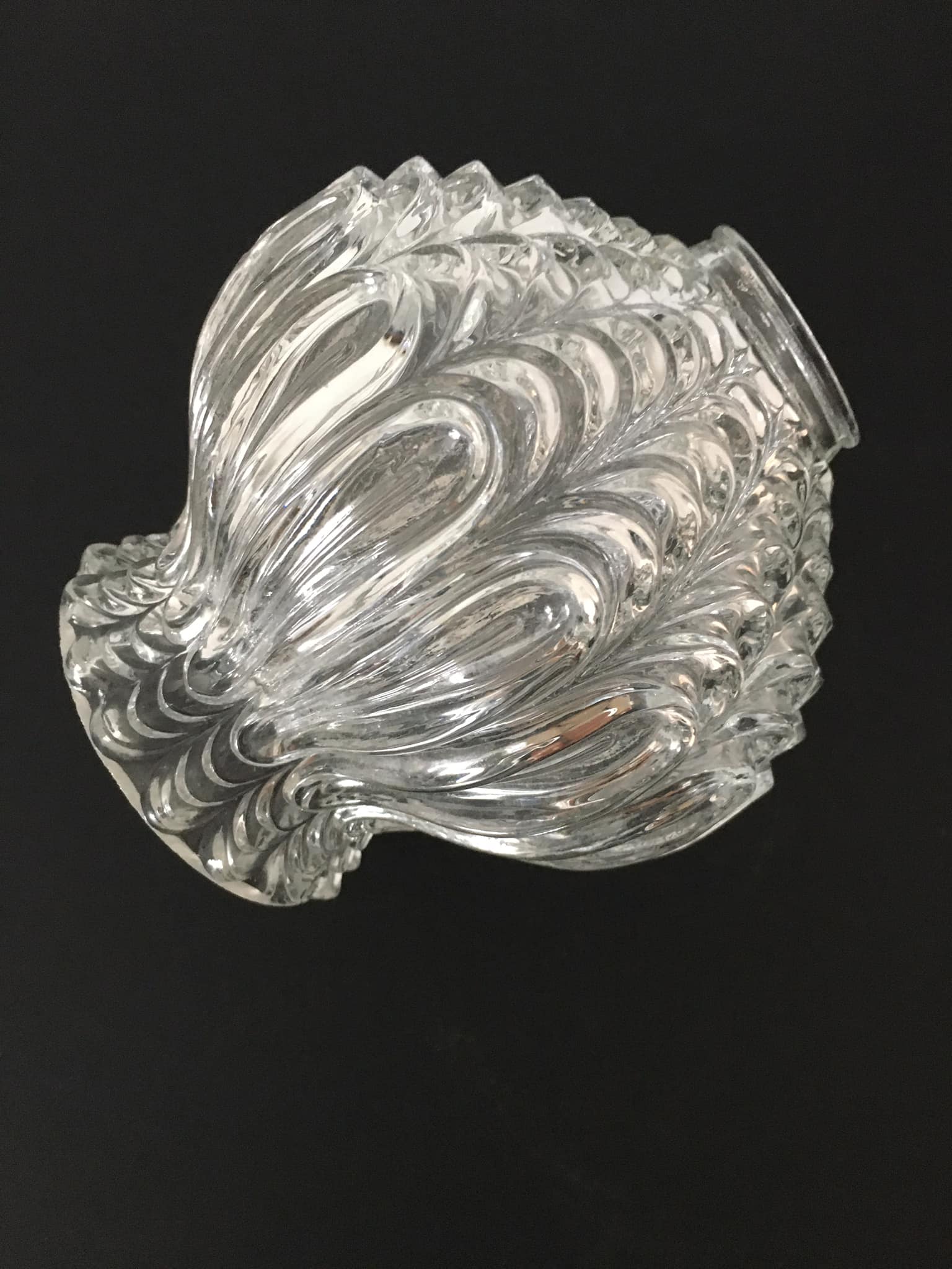 Worked transparent glass tulip
