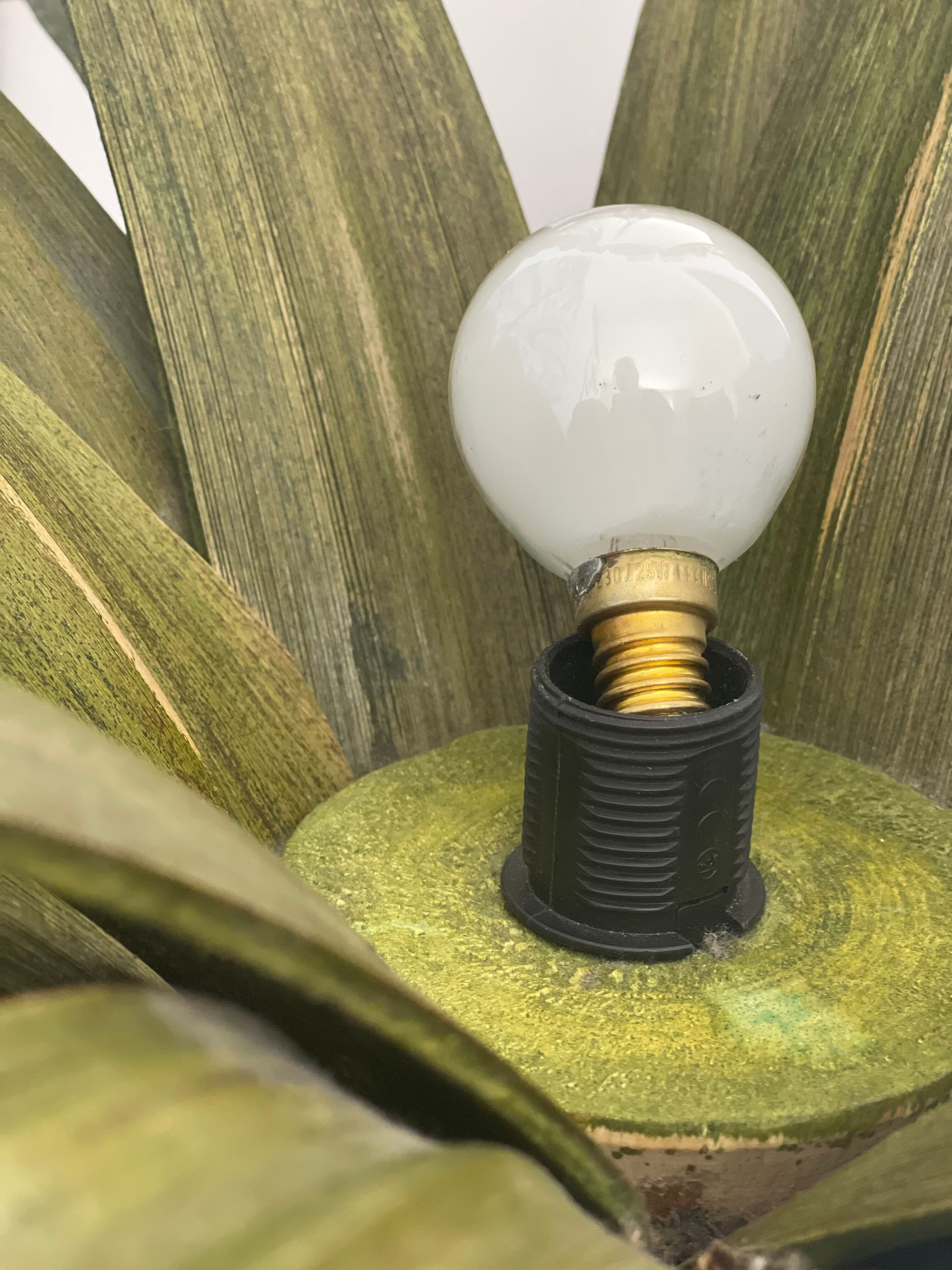 Lamp palm wood and rope