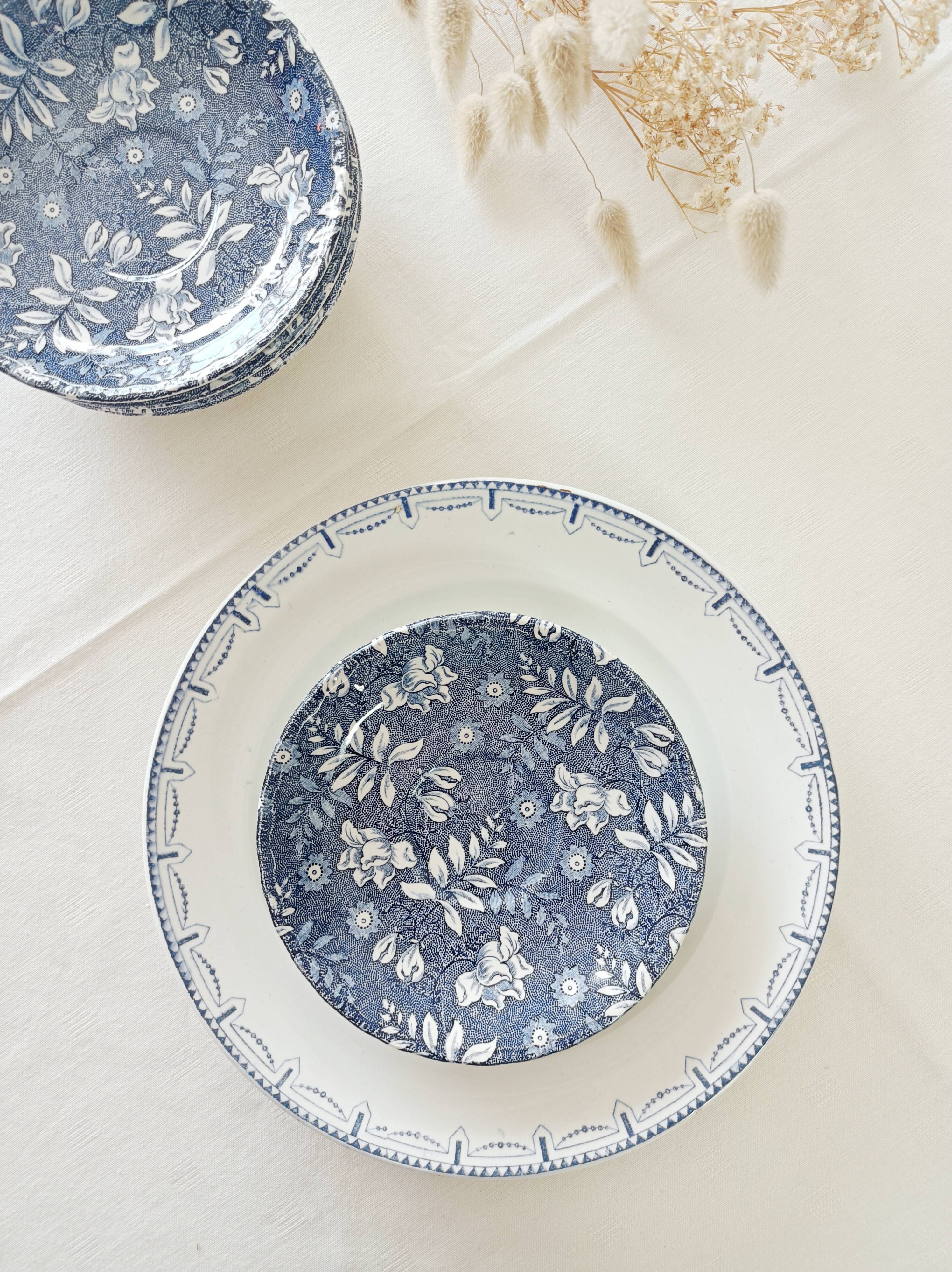 Set of 6 Royal Tudor Velvet Saucers