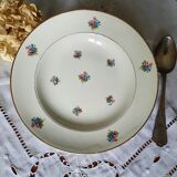Old hollow plates mismatched in earthenware