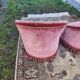 Pair of pink velvet toadstool armchairs