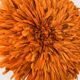 Juju hat orange 65 cm
