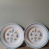 Set of 2 vintage coffee plates Brasilia Sarreguemines Digoin France hand-painted champfleury pattern