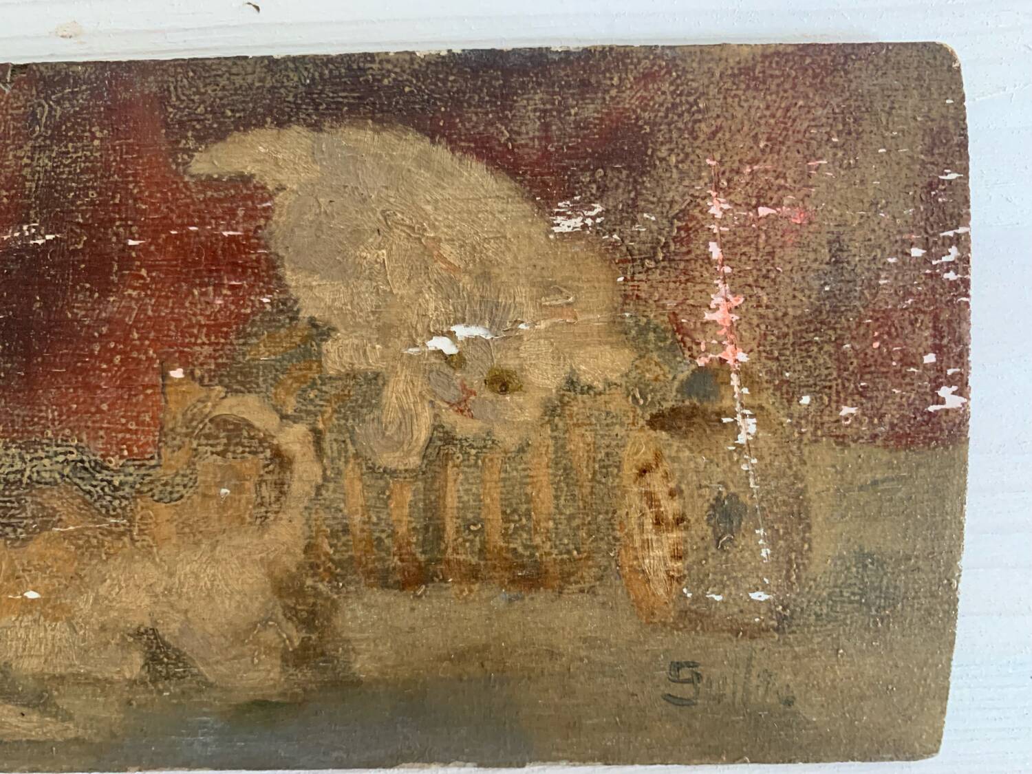 Small old signed painting, scene of cats, oil on panel, 1900