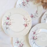 6 porcelain dessert plates