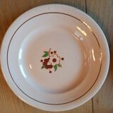 Assiettes de Longwy 10 pièces