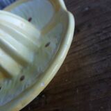 Citrus press lemon in slurry