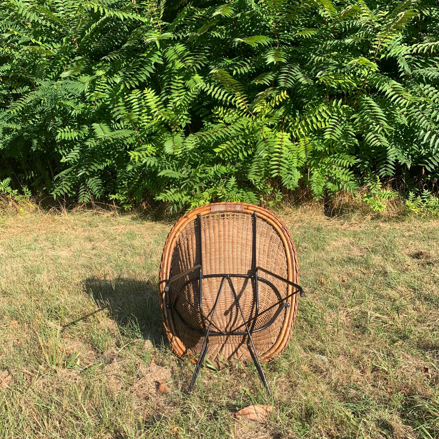 Martin Eisler & Carlo Hauner Concha armchair