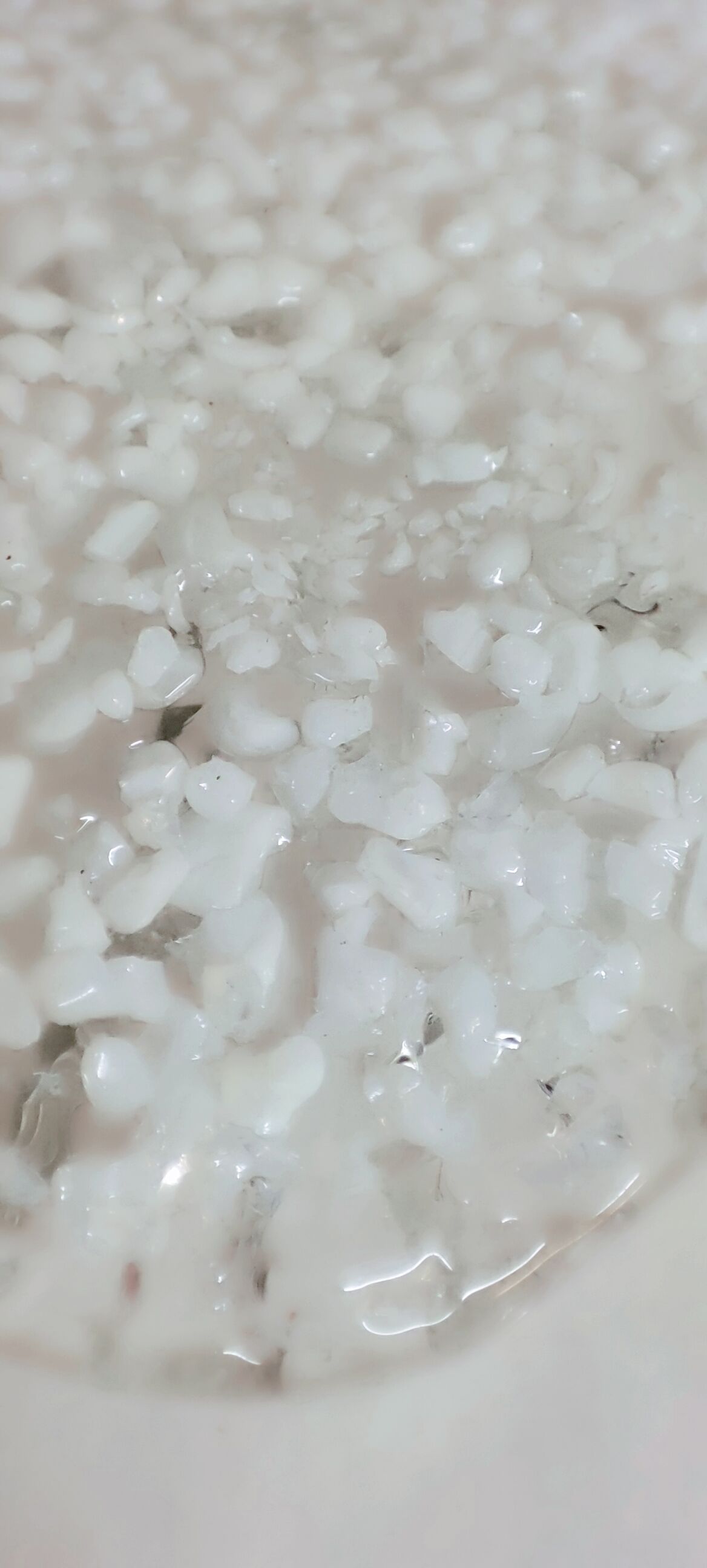 Wall sconce "Mazzega" with Murano glass leaves, Italy 1980