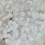 Wall sconce "Mazzega" with Murano glass leaves, Italy 1980