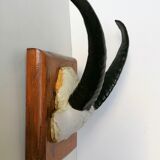 Massacre goat horns