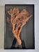 Orange coral, "Gorgon" framed under glass, 60 cm