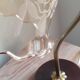 Lampe col de cygne et tulipe