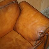 Two-seater canapé De Sede DS17 restored buffalo leather