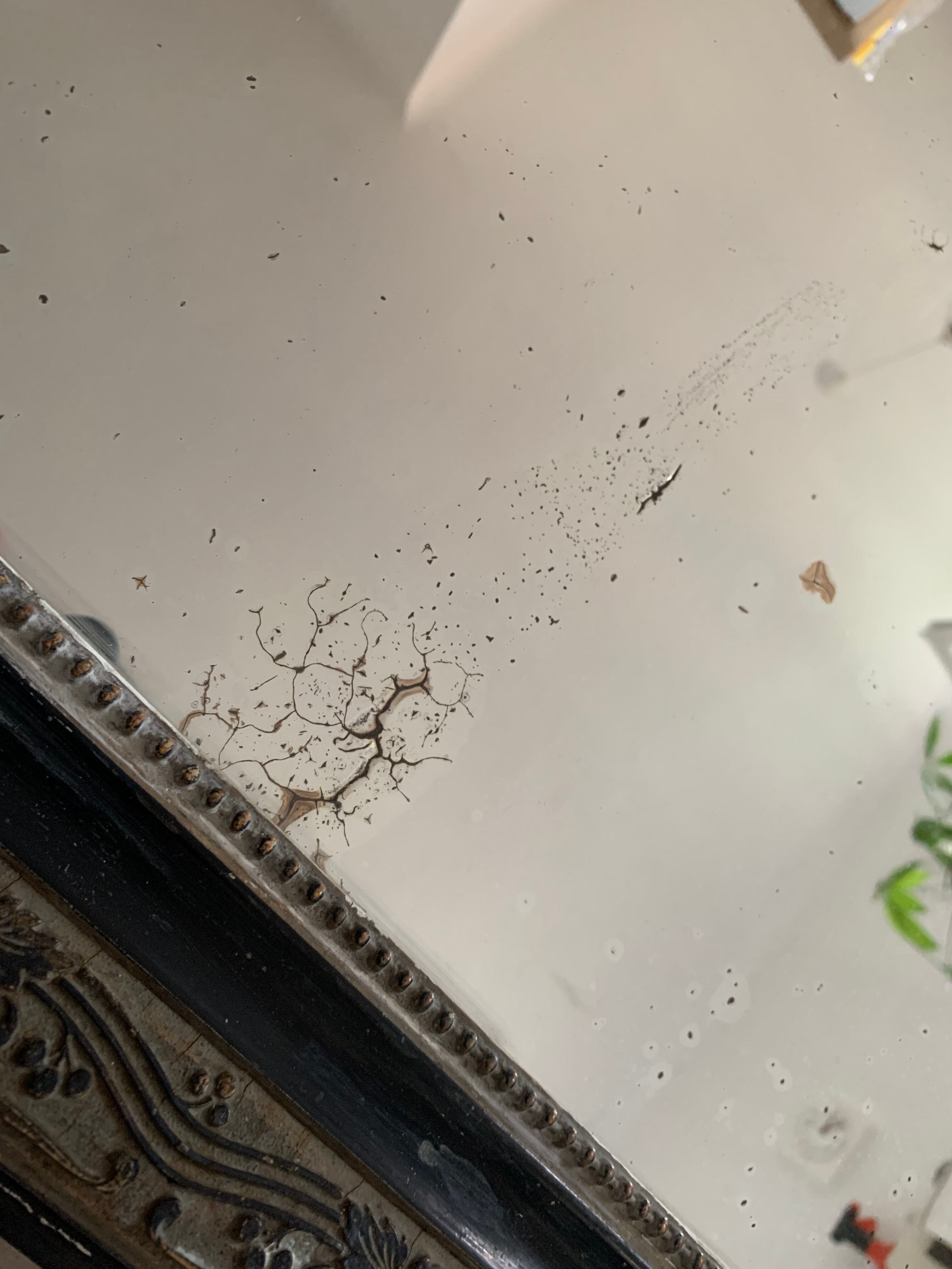 Old Louis Philippe mirror