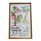 Cynorrondon and red ginseng pharmacy herbarium frame