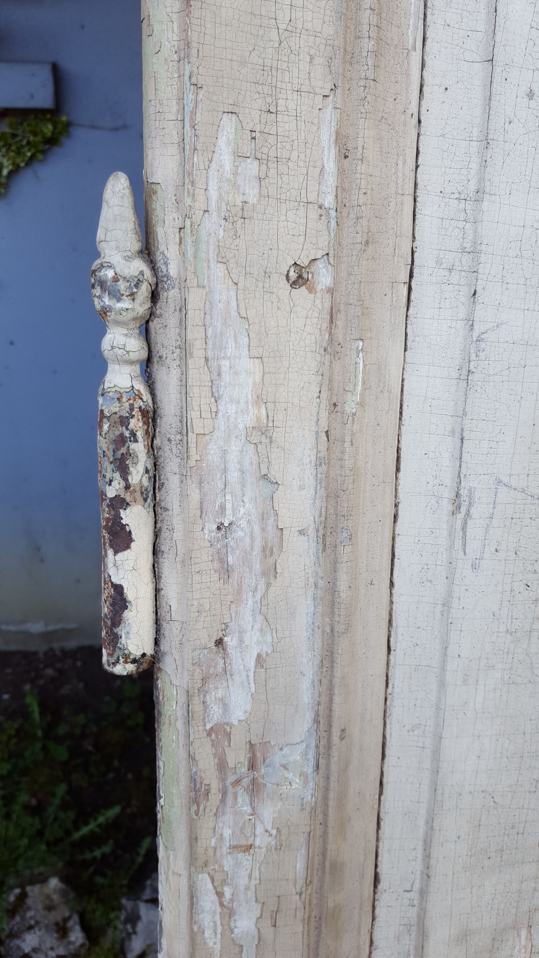 Pair of doors XVIII