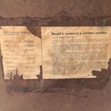 Sofa daybed Miroslav Navratil Czechoslovakia 1960