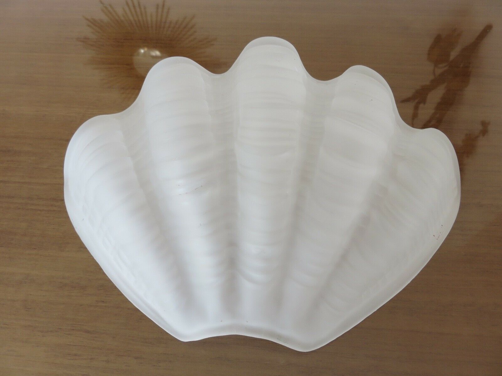 Wall light "shell" art deco brass and frosted glass 70s