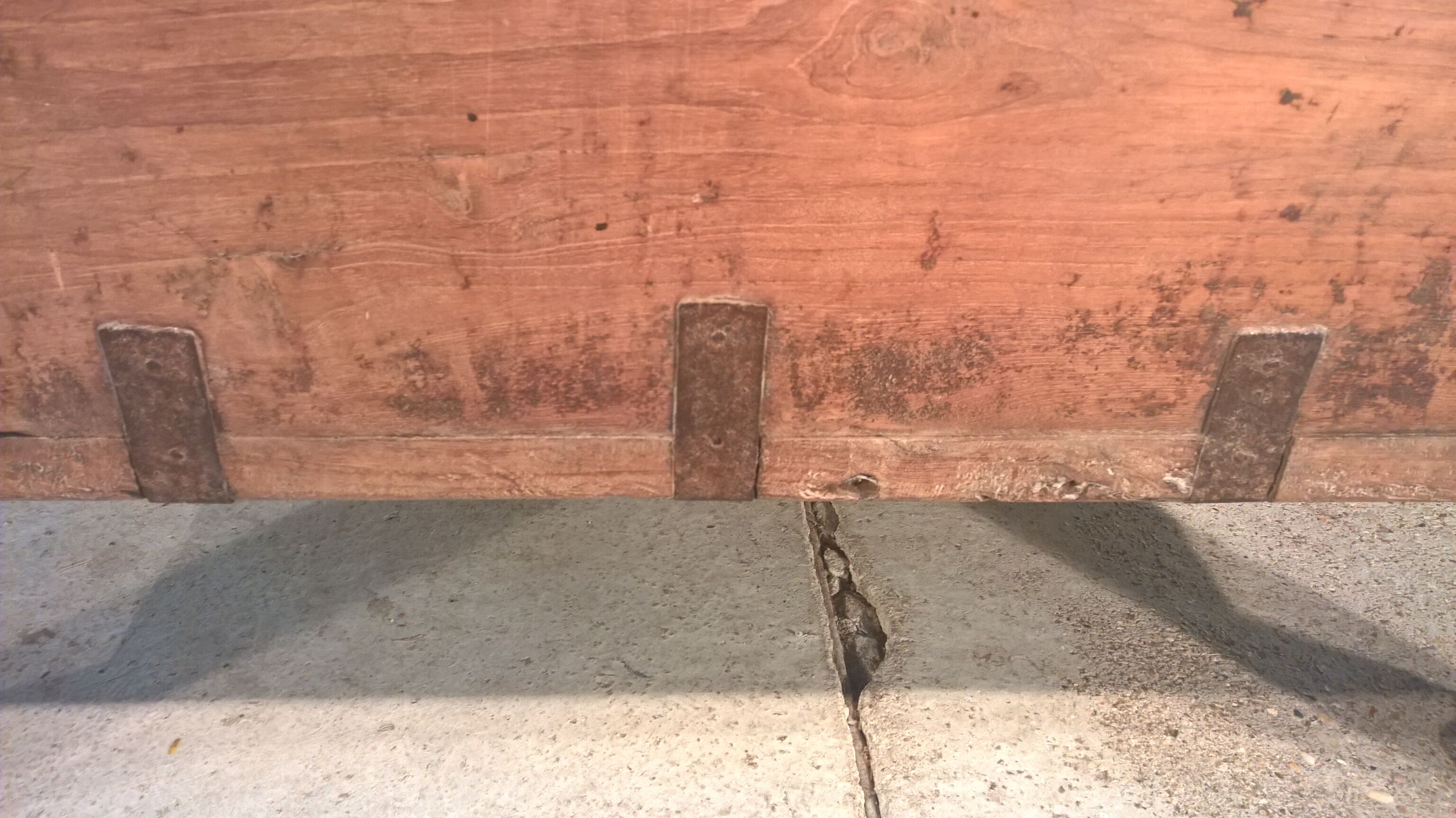 Trunk goannais ink310