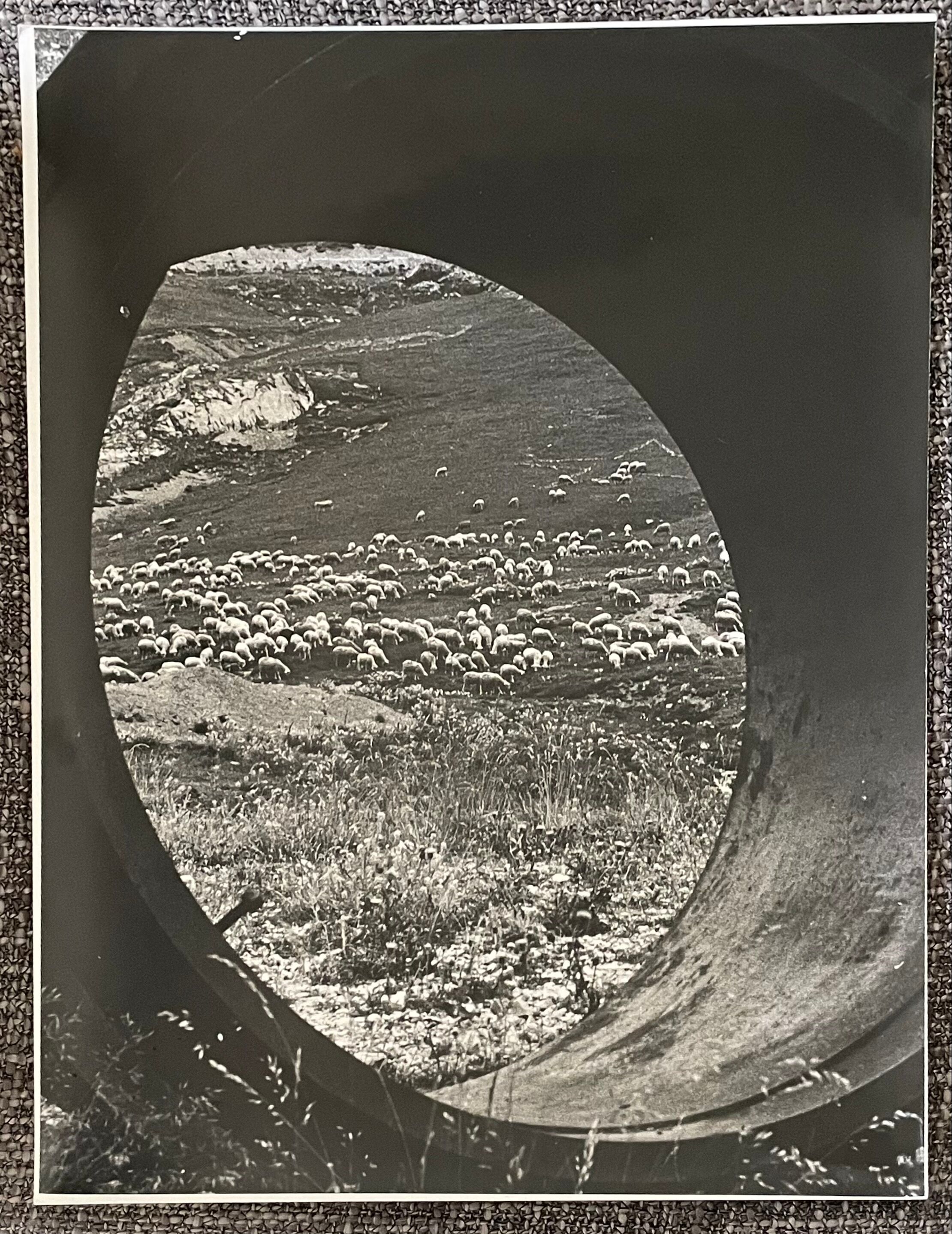 Photograph black and white silver print circa 1970