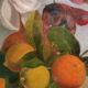 Tableau De La Fin Du 19ème Siècle, Signé, Fleurs, Citrons, Oranges. 67x43