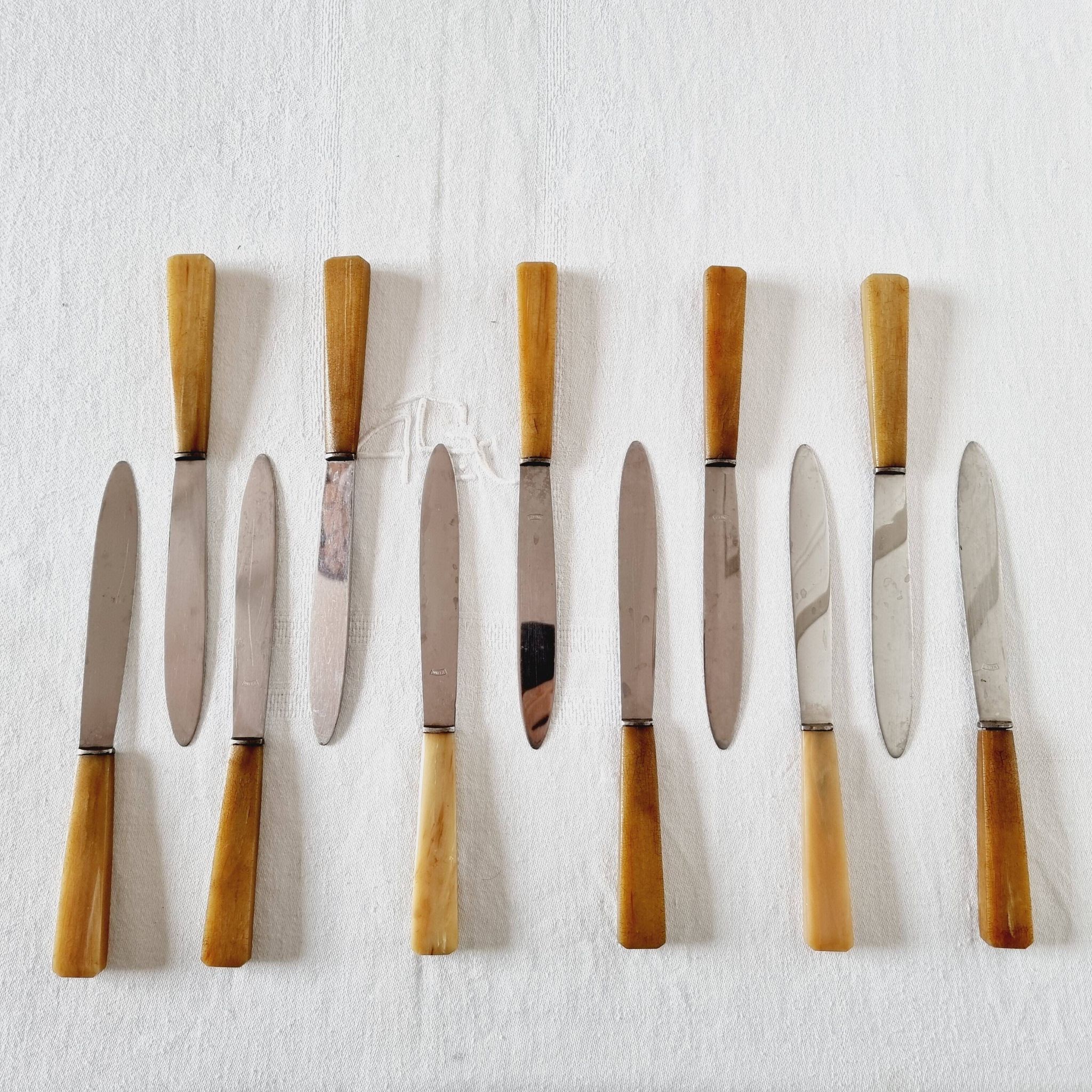 12 antique knives with edgeless resin handle and stainless steel metal
