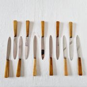 12 antique knives with edgeless resin handle and stainless steel metal