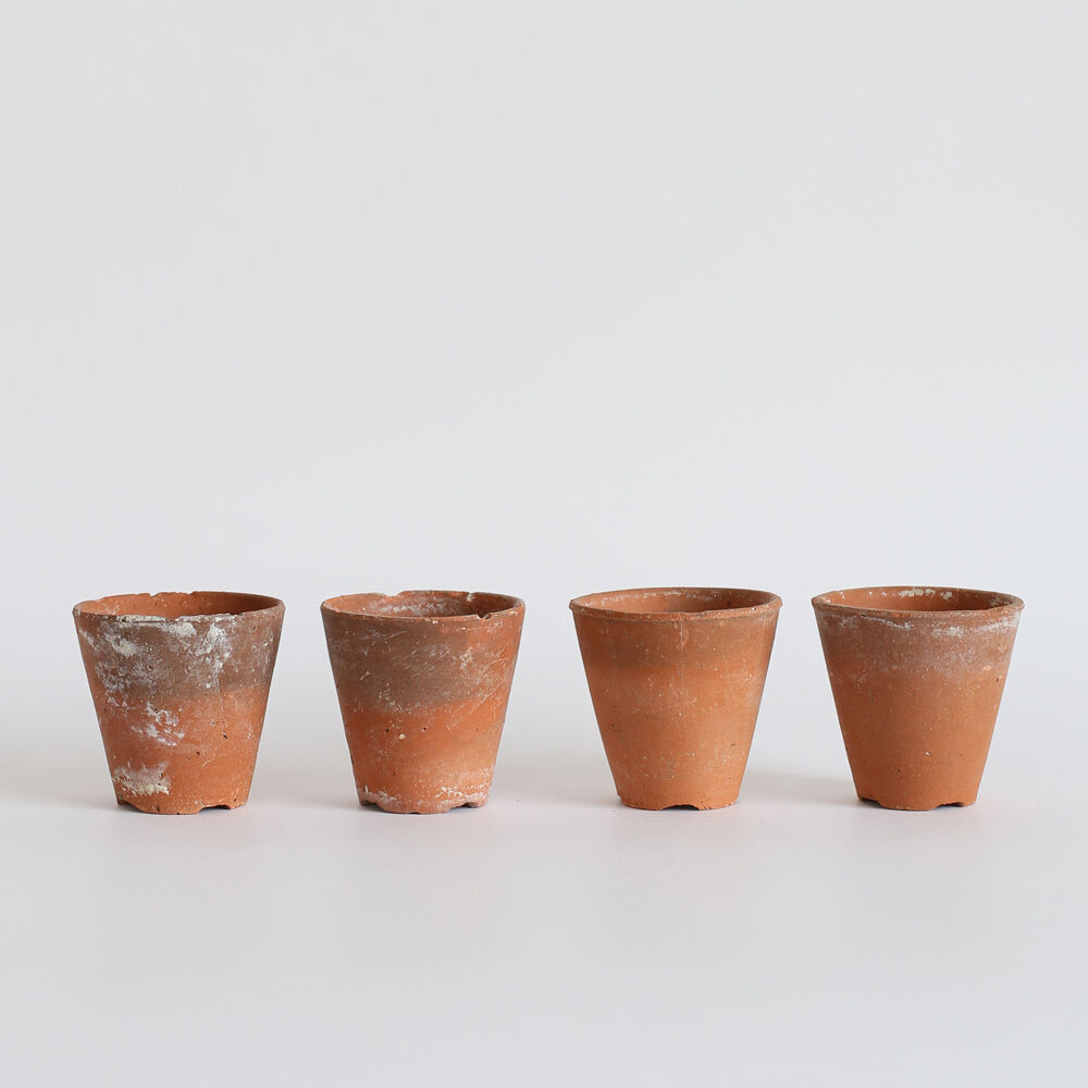 Terracotta pots