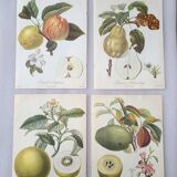 Posters The fruits of the king's garden and the fruits of autumn