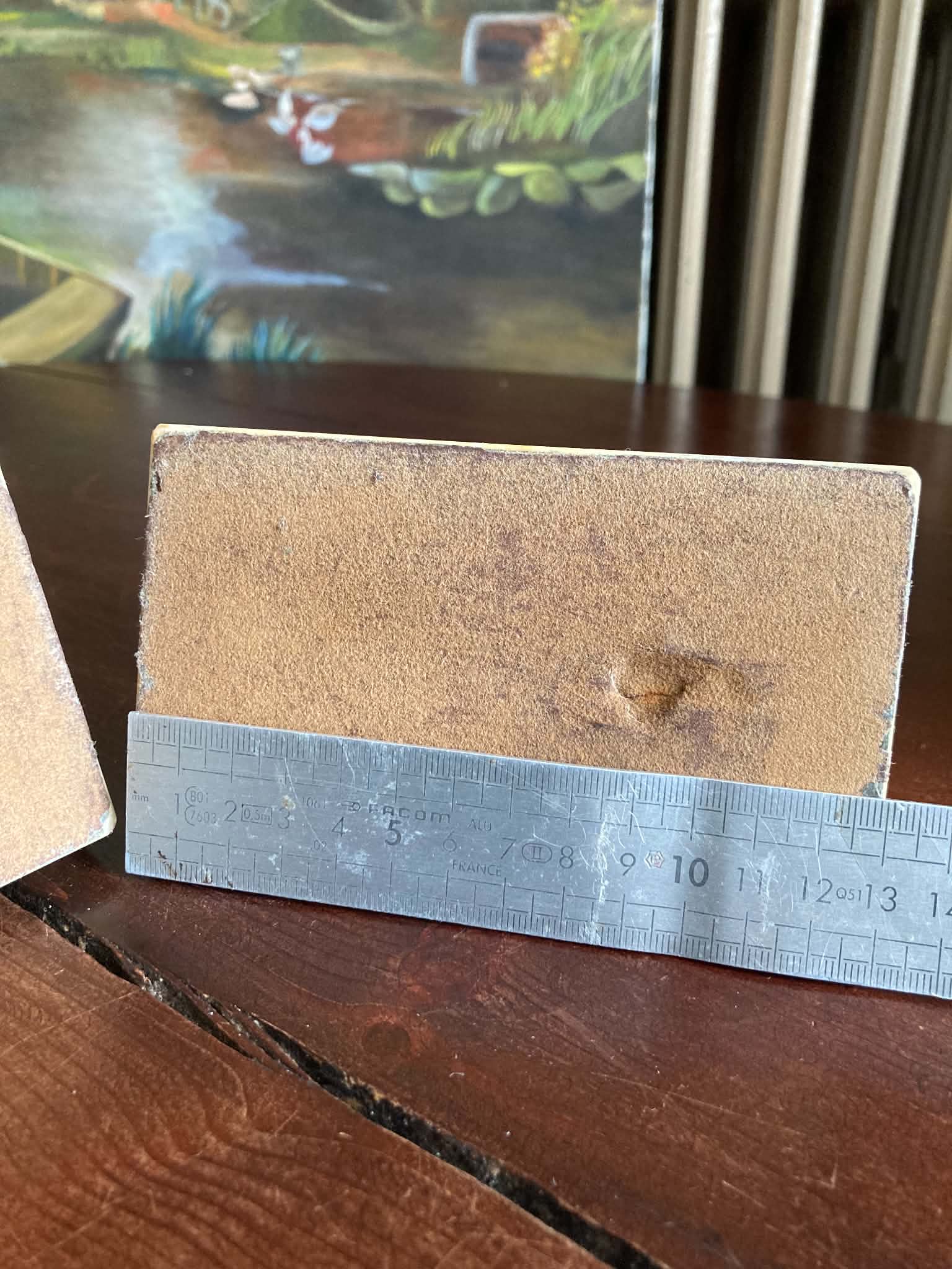 Squirrel bookends