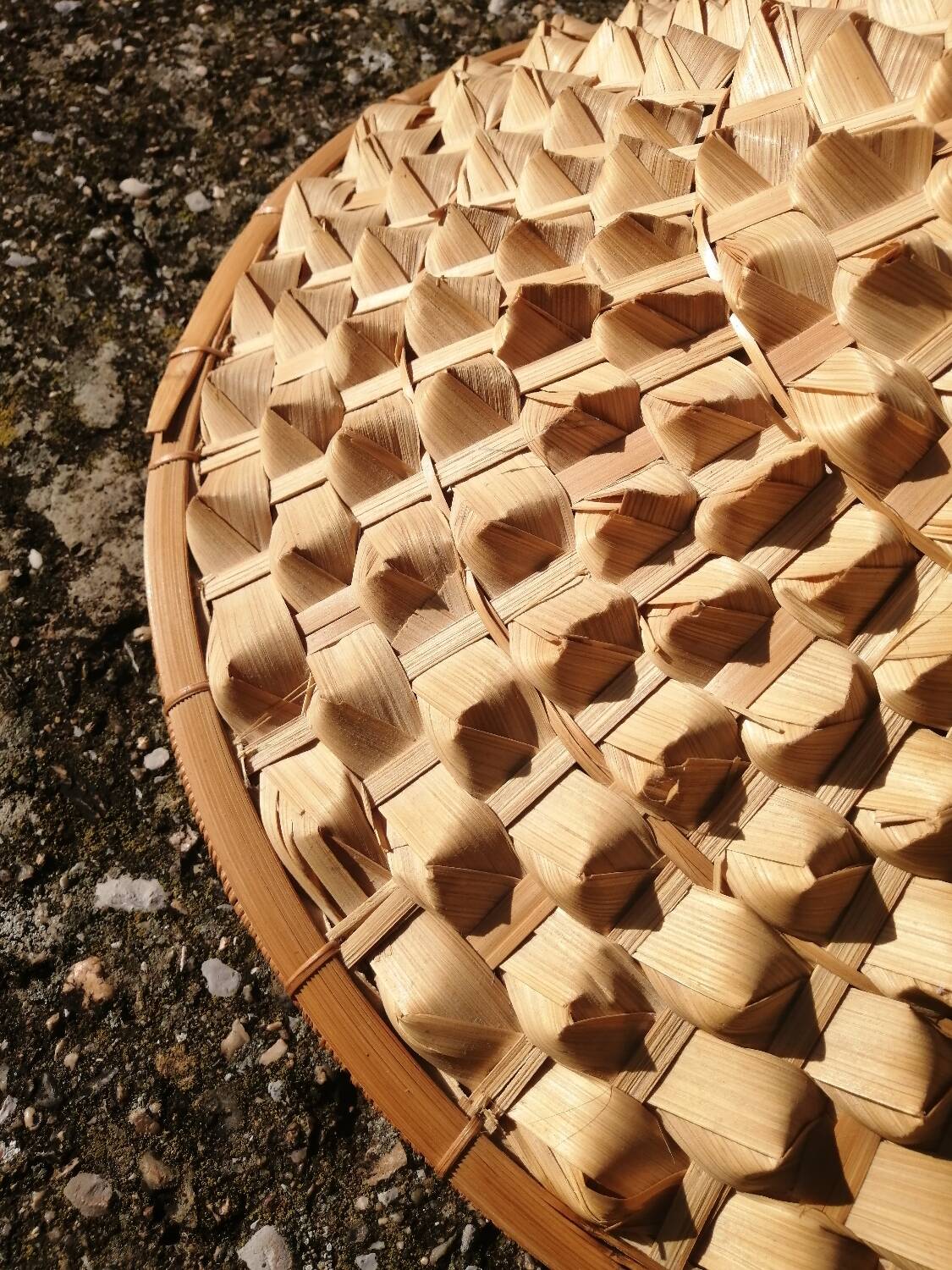 Vintage palm leaf pendant light